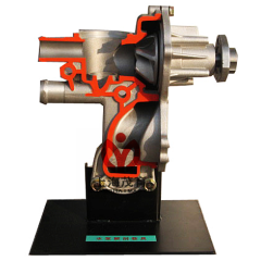 水泵解剖模型